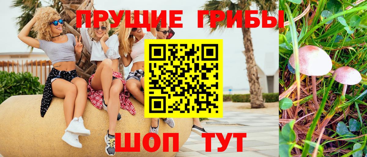 Псилоцибиновые грибы MAGIC MUSHROOMS Красный Сулин